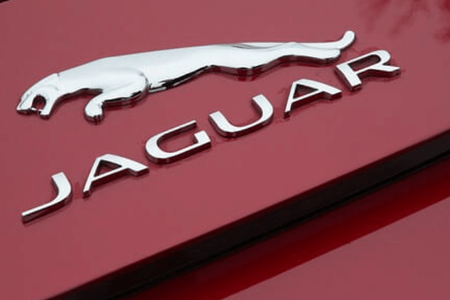 JAGUAR